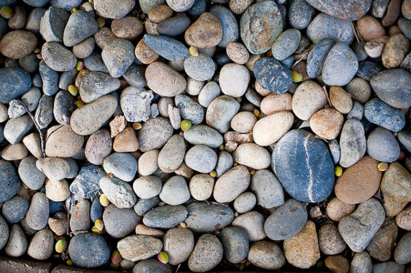 Stones in my backyard