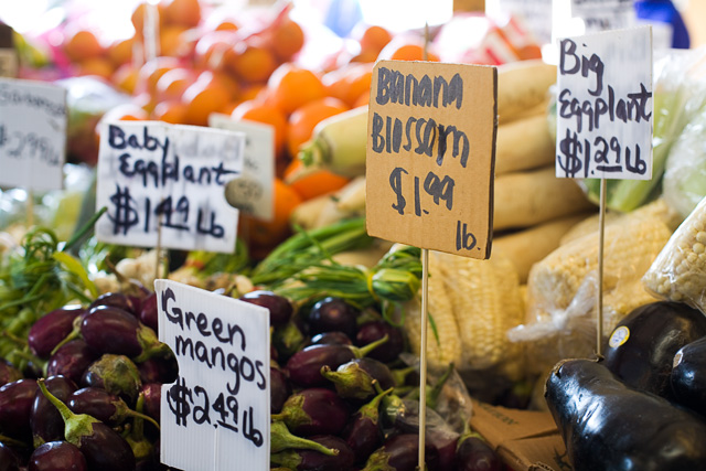 Saturday afternoon at the Farmers Market