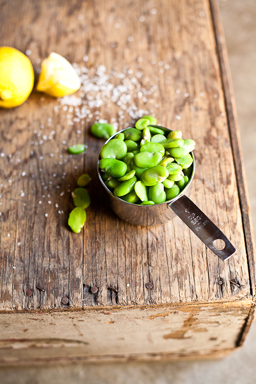 Fava Beans for the pesto