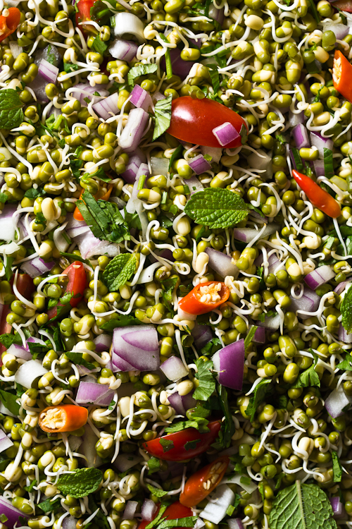 Sprouts Salad