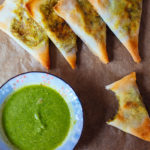 Wonton Samosa